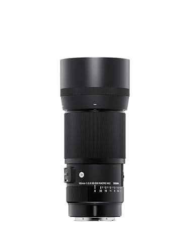 Sigma 105mm F2.8 DG DN Macro Art (montura Sony E) - imagen 2