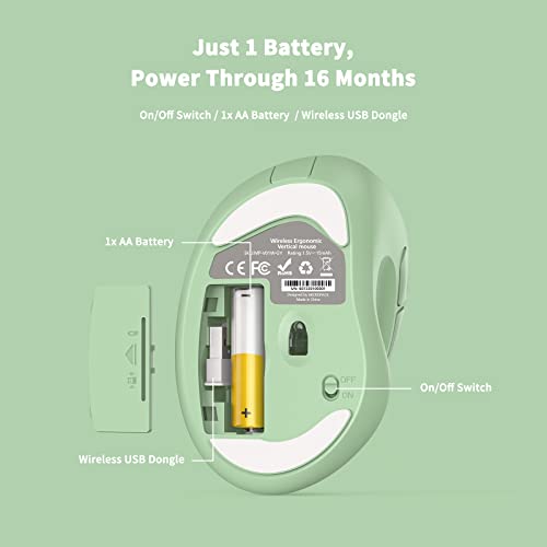 Ratón inalámbrico ergonómico con receptor USB para PC, portátil y escritorio, ratón vertical Ergo con clics silenciosos, batería de larga duración, hasta 1600 DPI y 1 pila AA, verde - imagen 4