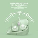 Ratón inalámbrico ergonómico con receptor USB para PC, portátil y escritorio, ratón vertical Ergo con clics silenciosos, batería de larga duración, hasta 1600 DPI y 1 pila AA, verde - imagen 5